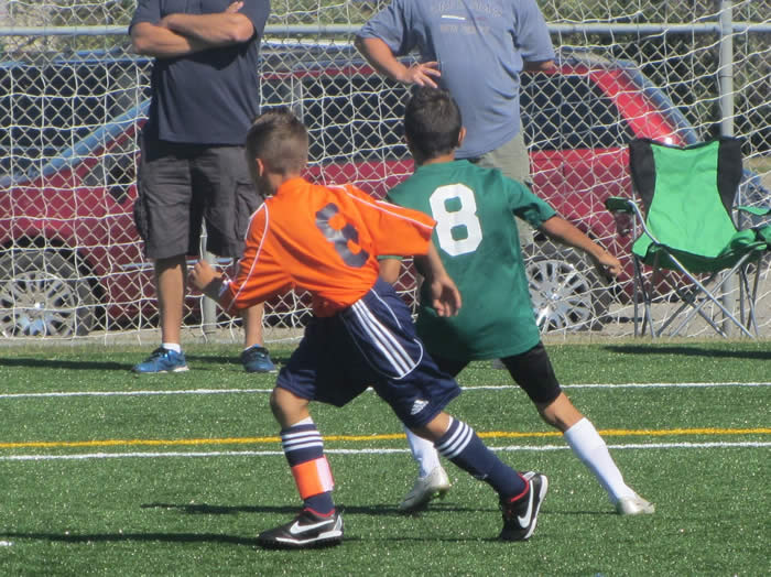 Young recreation soccer players gathered together on the field